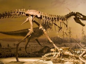 Динозаврите изчезнали от студ заради петролни сажди