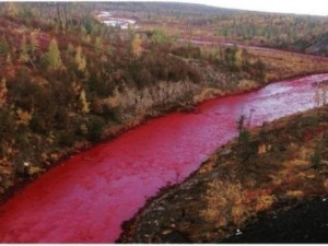 Зловещо! В Русия потече кървавочервена река