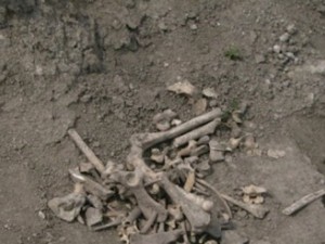 Откриха човешки скелет във Видинско