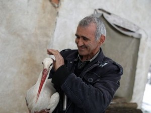 Спасителят на щъркели Сафет прибра ранена птица
 