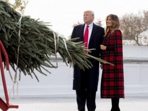 Мелания и Тръмп си взеха 6-метрова елха