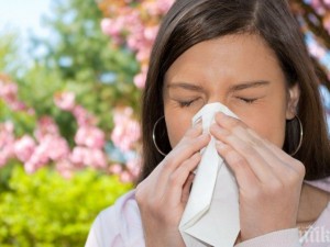 Как да спрем пролетните алергии без хапчета