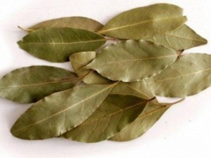 Астма се лекува само с дафинов лист
