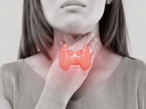 Как да хванем навреме рака на щитовидната жлеза 
