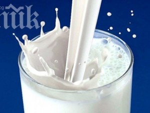Българската заплата стига за 241 л мляко, в Германия – за 1470 л