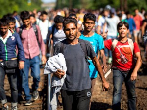 Бежанци превзеха вилите в Пернишко
