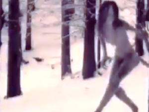 Мистерия! Триметрова жена броди в гората