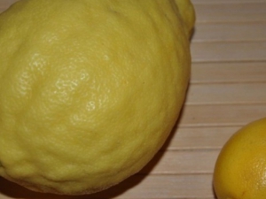 Стопанин отгледа гигантски лимон