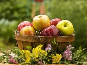 Правилно подбраните билки ще опазят ябълките