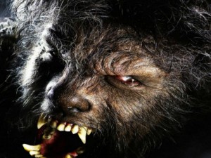 Върколак напада хора в Петричко