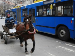 Положението в София е: „Дий, коньо!“