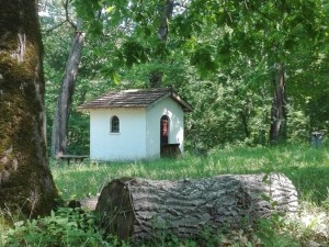 Странджанската Кръстова гора пречиства и изцелява