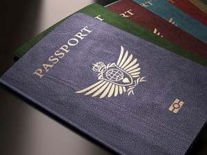 Защо паспортът ви е с този цвят?