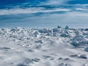 Арктика може да остане без ледена покривка
 