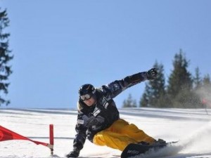 Българска федерация по ски взе старт от Световната купа по сноуборд