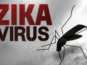 Вирусът Зика застрашава България