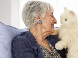 Котки помагат на болни деца и старци