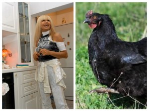 Лили отглежда 14 черни кокошки