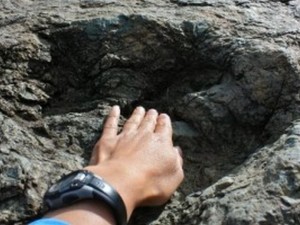 
Гигантска стъпка на динозавър открита в Боливия
