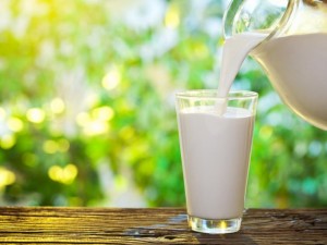 Млякото от хлебарки – новата суперхрана !