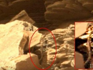 На Марс има живот, намериха змия