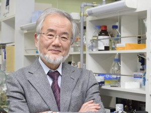 Японец с „Нобел” за медицина
