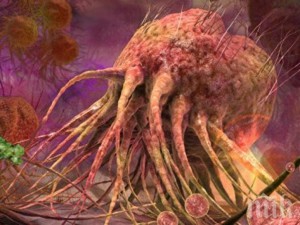 Сензационно откритие - молекула терминатор унищожава рака