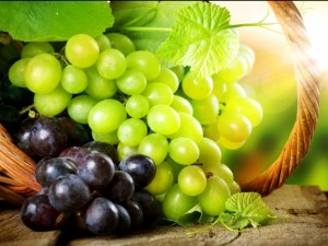 Семки от грозде пазят от рак
 