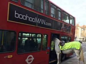 Кон се качи в лондонски автобус
 