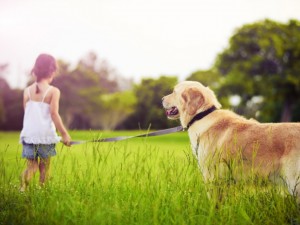 Кучето лекува детето от страхове