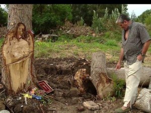 Чудо! Ликът на Христос се появи върху дърво