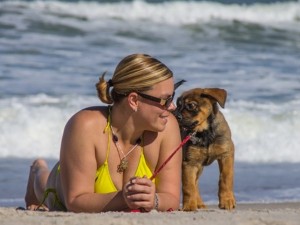Морето по-евтино, ако си с куче
 