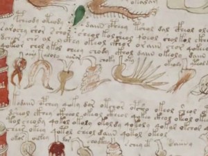 Специален шифър пази силата на ръкописа на Войнич, съдържащ тайната на живота 
 