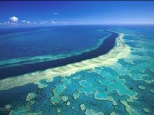 Големият бариерен риф загива