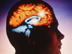
Британски учени откриха съвестта, изследвайки човешкия мозък

