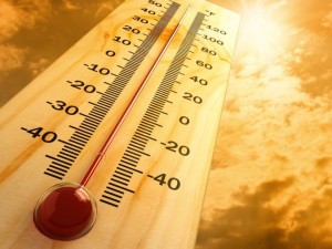 Умираме от жега: 30% от населението на планетата е в риск
