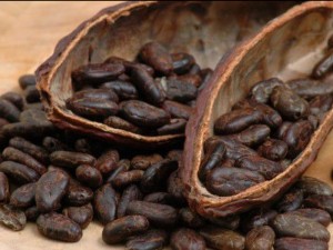 Ацтеките ползвали какаото като магия за щастие и младост
