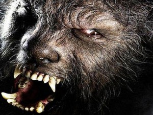 Мистерия: Върколаци „крадат“ кучета и котки 