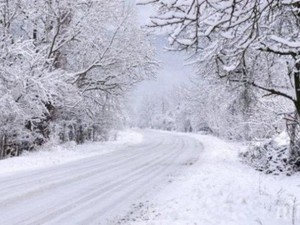 Лоша прогноза! Студът ни връхлита, сняг затрупва цяла България на… Ето я пълната прогноза за ноември