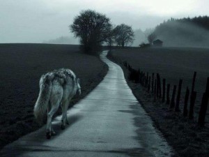 Призрак на вълк пази родопско село