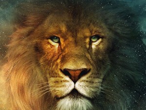 Установиха - универсалната зодия е Лъв