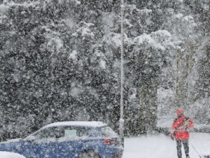 Снегът потроши 200 българи