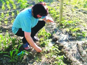 Корнелия засади доматите