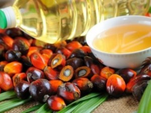 Палмовото масло вдига кръвната захар