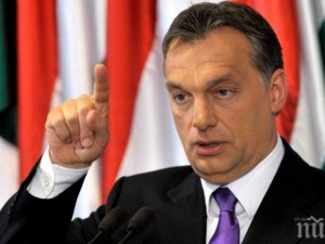 Трябва ни политик като Орбан