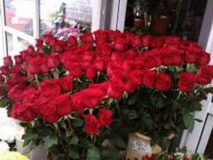 72 бона за рози пръска Министерският съвет
