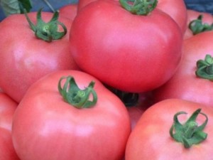 Продават вкусни български домати във Виена
