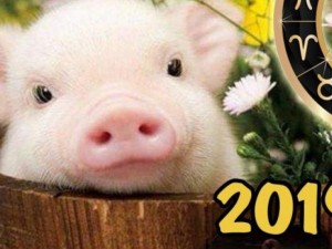 Идва годината на Жълтата Свиня! Ето какво ни очаква от 5 февруари 2019 г.