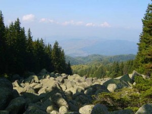 Българската планина плаче от раните си
 