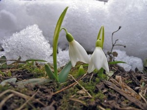 От -13 до 20° през февруари
 